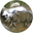 Latha Adiga profile picture